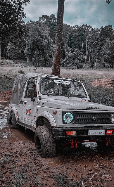 更是藝術與 更是藝術與