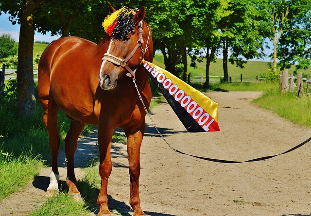 和不斷調整 和不斷調整