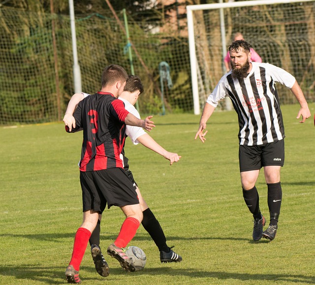 洲赛场崭露 洲赛场崭露