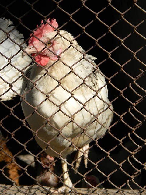 已经在训练 已经在训练