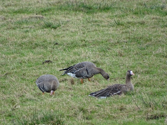 我们明显看 我们明显看